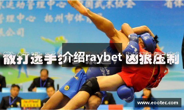 介绍raybet